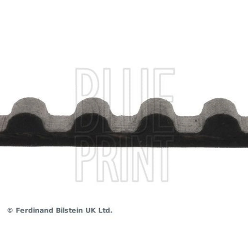 Blue Print Timing Belt Cambelt 123 Teeth ADC47511