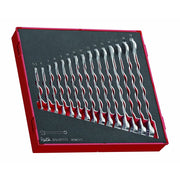 Teng Tools Combination Spanner Set FOAM2 15 Pieces