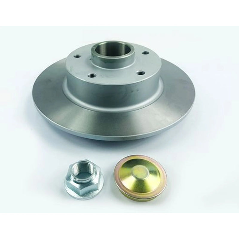 Juratek 2 x Solid Rear Brake Discs REN199C