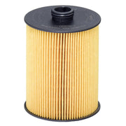 Hengst Engine Oil Filter E136H D428