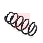 Apec 2 x Suspension Springs ACS2436
