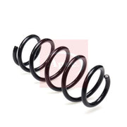 Apec Rear Suspension Coil Spring ACS2436