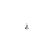 Bosch Automotive Bulb 1 987 301 005