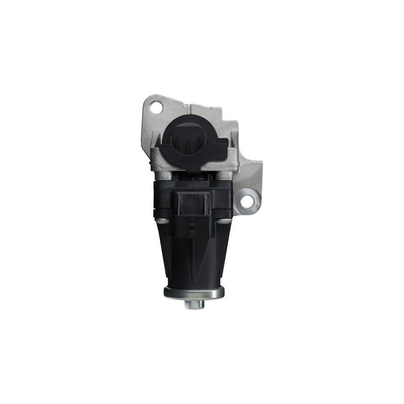Valeo Exhaust Gas Recirculation Valve 703204