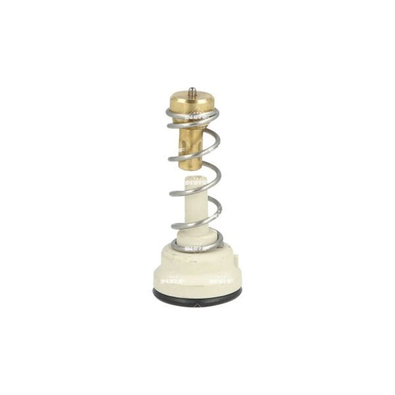 NRF Thermostat,Coolant 725204