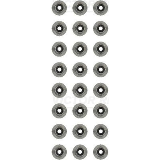Victor Reinz Valve Stem Seal Set ID High 12-13246-02