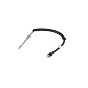NRF Exhaust Gas Temperature Sensor before soot partic 707092