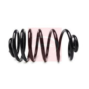 Apec Rear Suspension Coil Spring ACS2073