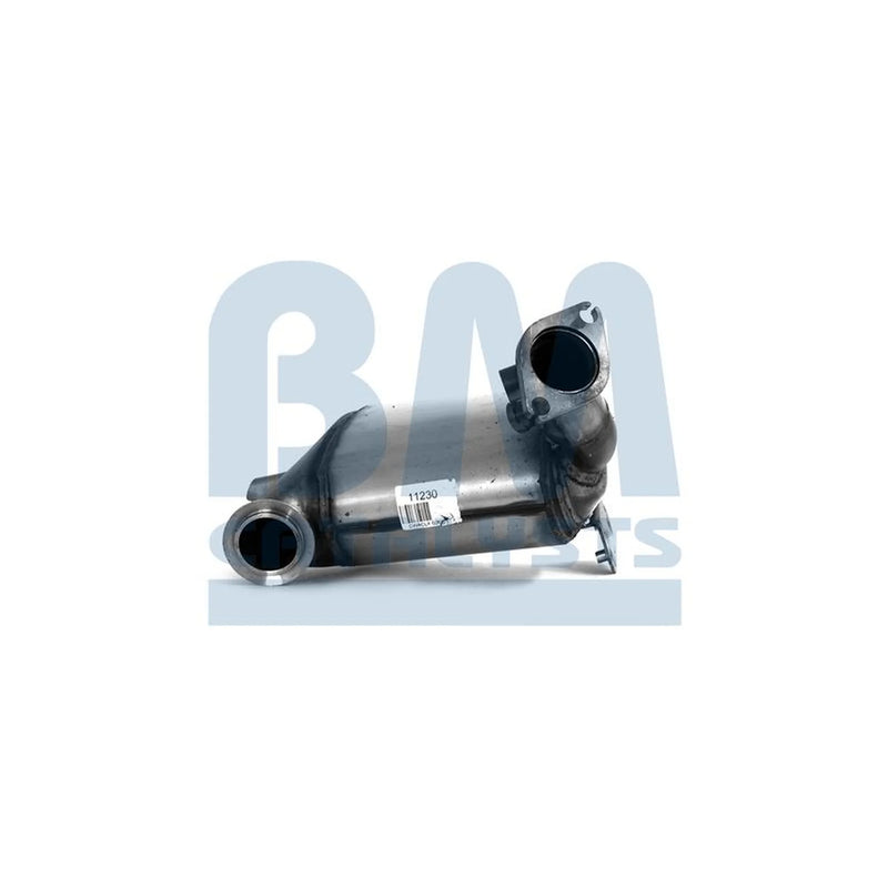 BM Catalysts Dpf BM11230