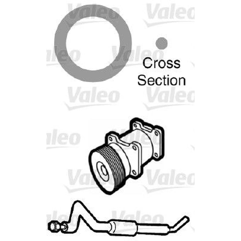 Valeo Oring'S Kit - Bag Per 20 509131 999-707-261-40 509131