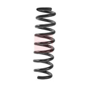 Apec Front & Rear Suspension Springs ACS2496
