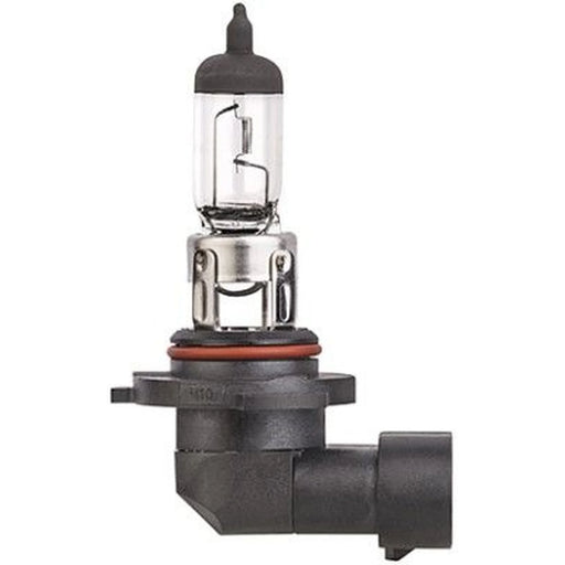 Hella Front Fog Light Bulb PY20d 12V 42W 8GH 009 063-121