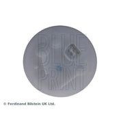 Blue Print Fuel Filter Element in the fuel tank ADC42365