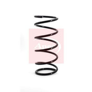 Apec Front & Rear Suspension Springs ACS1726