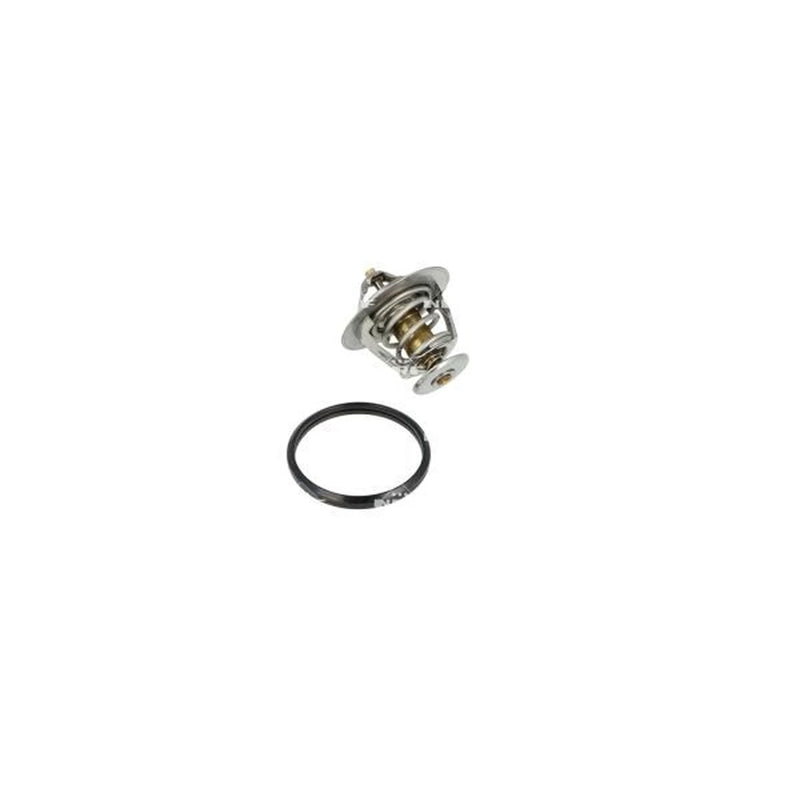 NRF Thermostat,Coolant 725087