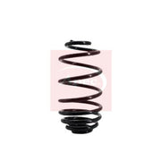 Apec Rear Suspension Coil Spring ACS1032