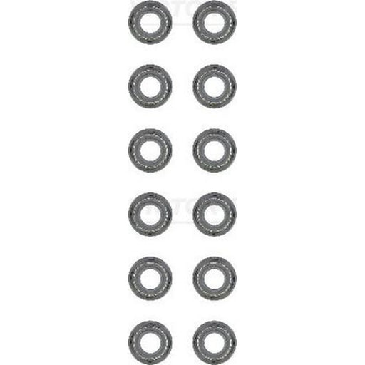 Victor Reinz Valve Stem Seal Set ID High 12-53204-01