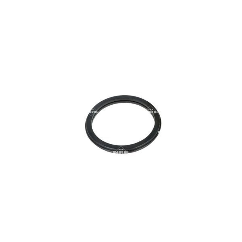 NRF Thermostat,Coolant 725267