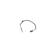 NRF Exhaust Gas Temperature Sensor after soot particulat 707043