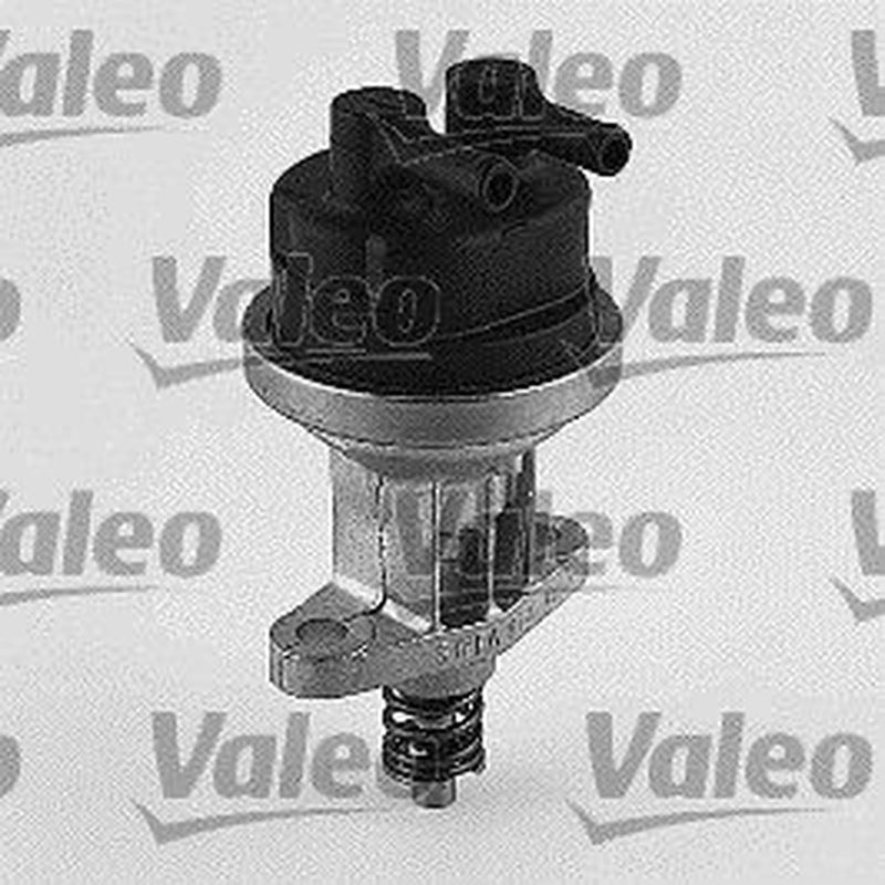 Valeo Fuel Pump Assembly 247062