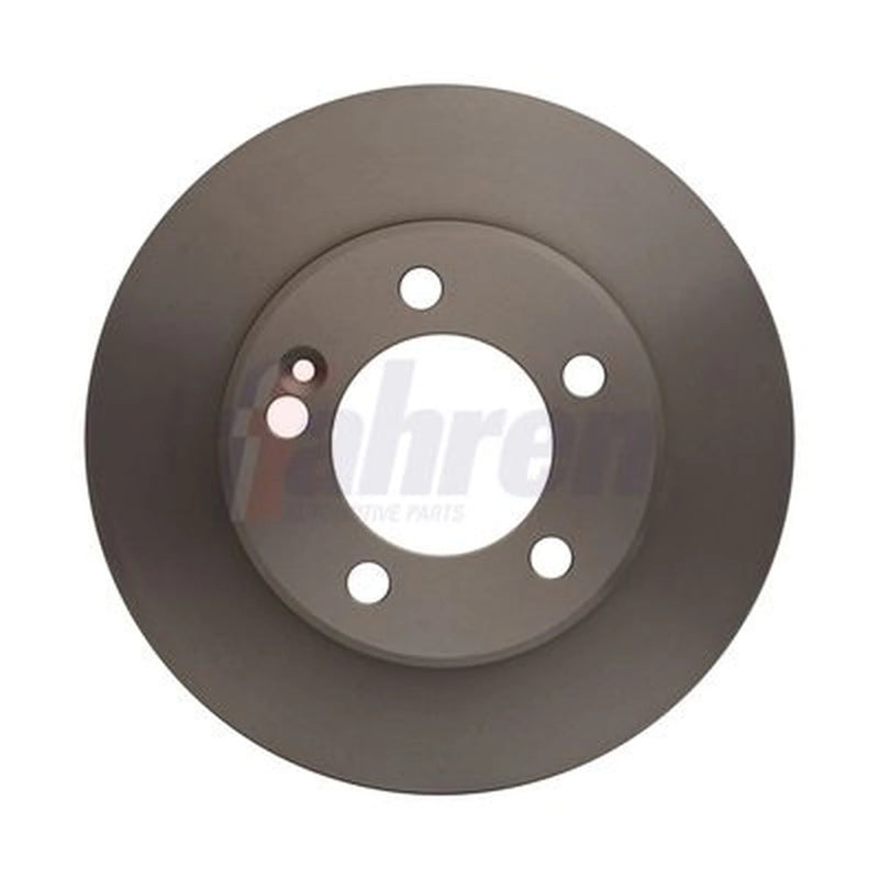 Fahren 2 x Solid Rear Brake Discs FBD6663