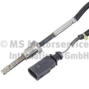 Pierburg Exhaust Gas Temperature Sensor after soot parti 7.12196.13.0