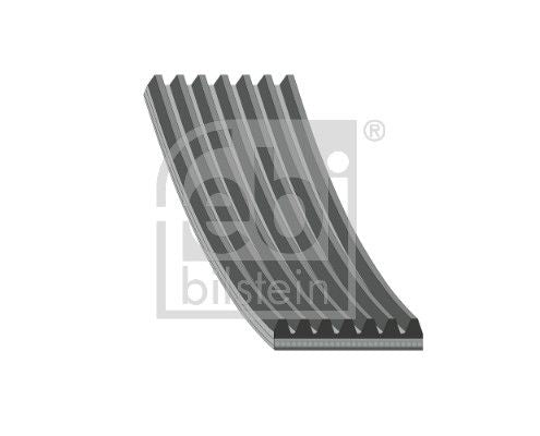 Febi Multi V-Ribbed Drive Belt