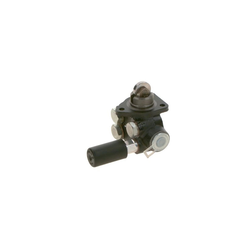 Bosch Fuel Pump Assembly 0 440 008 152