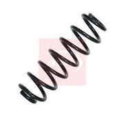 Apec Rear Suspension Coil Spring ACS2023