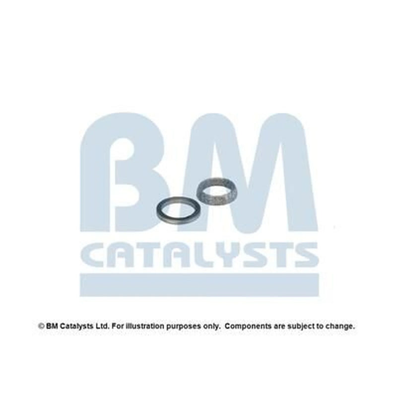 BM Catalysts Fitting Kit FK90699A FK90699A