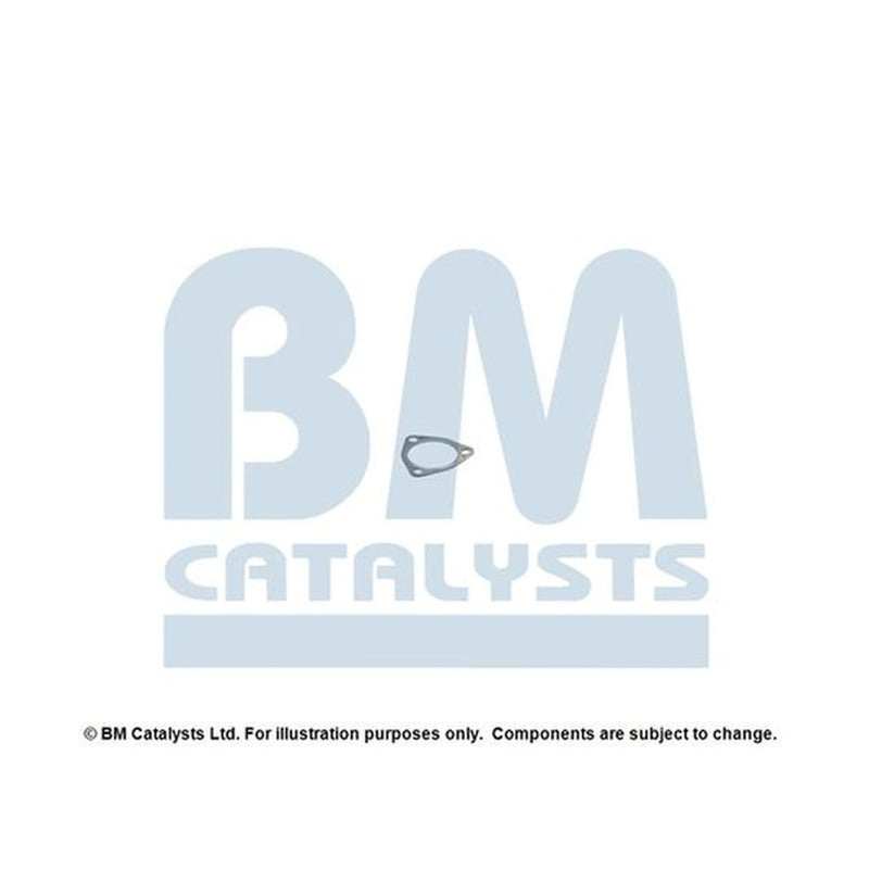 BM Catalysts Exhaust Pipe Mounting Kit FK50199A