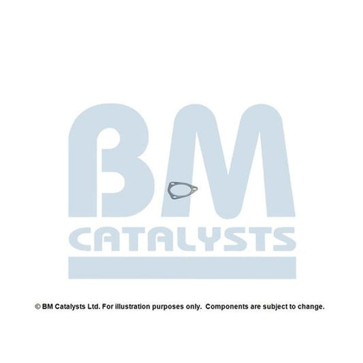 BM Catalysts Exhaust Pipe Mounting Kit FK50199A