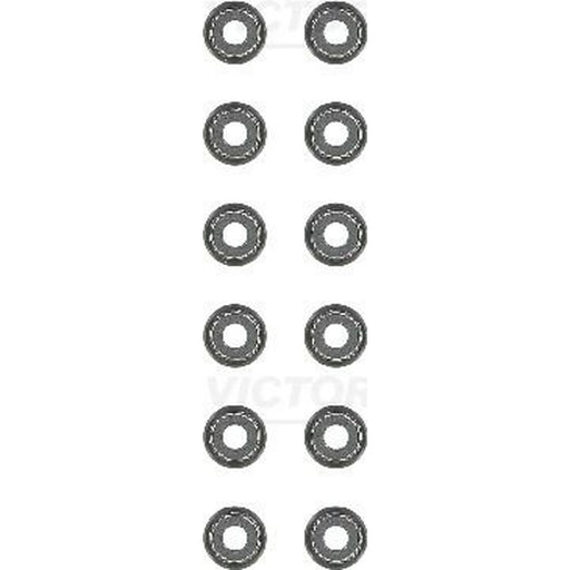 Victor Reinz Valve Stem Seal Set ID High 12-10031-02