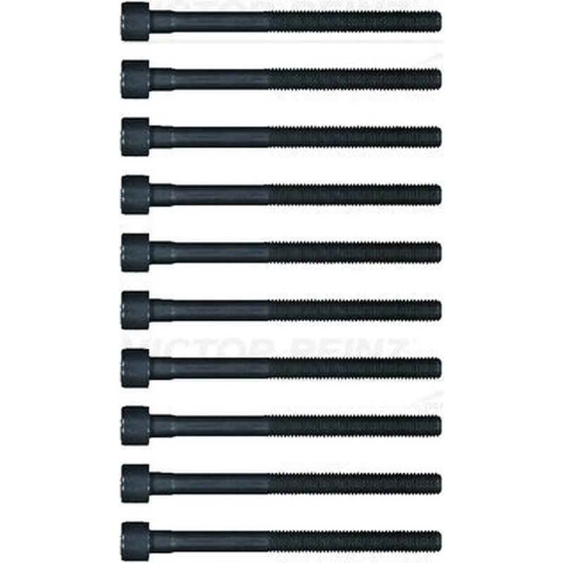 Victor Reinz Cylinder Head Bolt Set M10 14-32378-01
