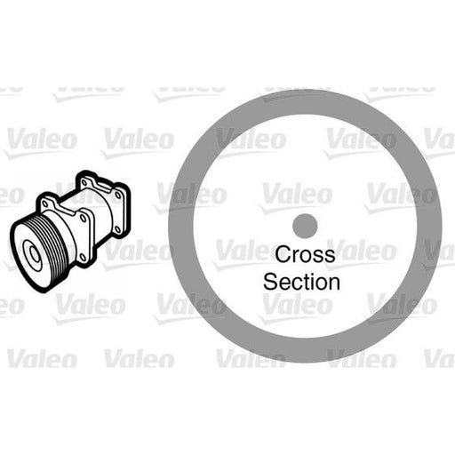 Valeo A/C O'Ring - Bag Per 20 509176 1 850 723 509176