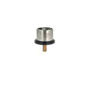 NRF Thermostat,Coolant 725099