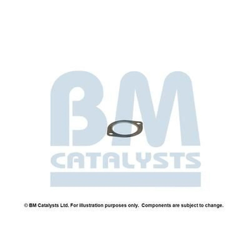 BM Catalysts Exhaust Pipe Mounting Kit FK70511A