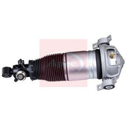 Apec Air Suspension Strut Shock AAS1188