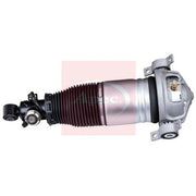 Apec Air Suspension Strut Shock AAS1188