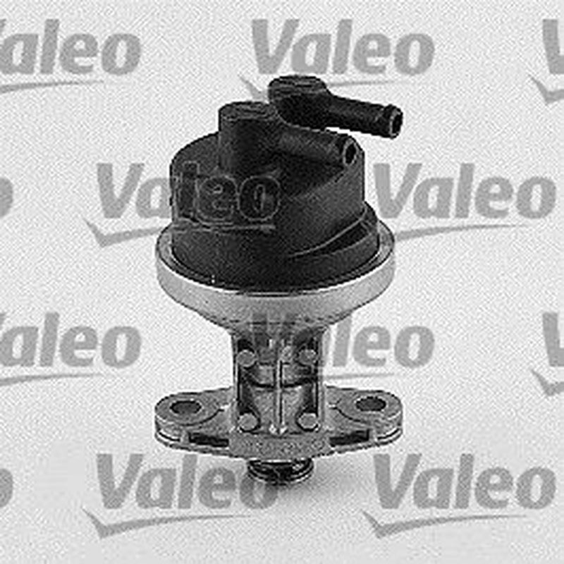 Valeo Fuel Pump Assembly 247092