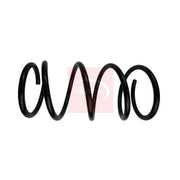 Apec Rear Suspension Coil Spring ACS1919