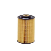 Hengst Fuel Filter Element E5KP D12