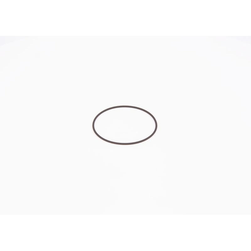 Bosch Sealing Ring Gasket F 01M 100 371