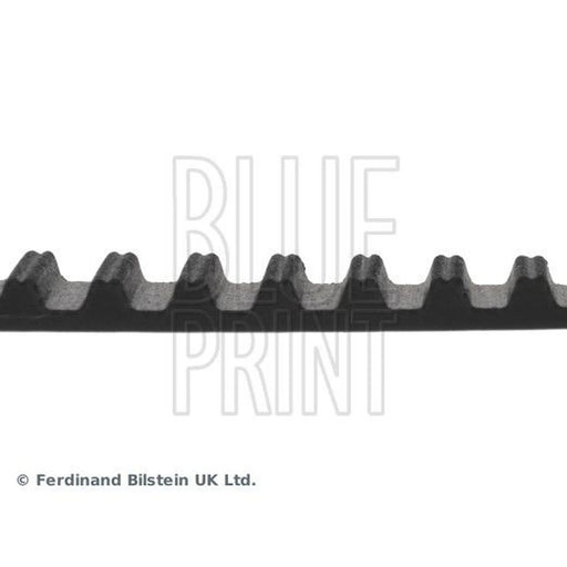 Blue Print Timing Belt Cambelt 144 Teeth ADK87520