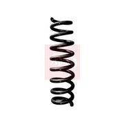 Apec Rear Suspension Coil Spring ACS1694