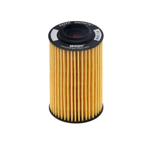 Hengst Engine Oil Filter E622H D145