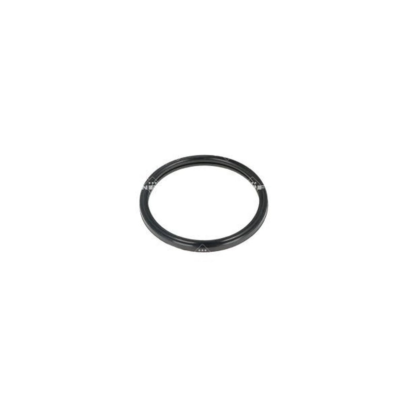 NRF Thermostat,Coolant 725084