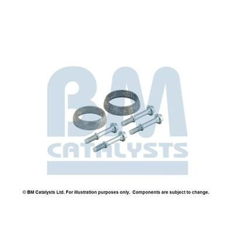 BM Catalysts Fitting Kit FK80311B FK80311B