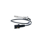 NRF Exhaust Gas Temperature Sensor before soot particulate 707193