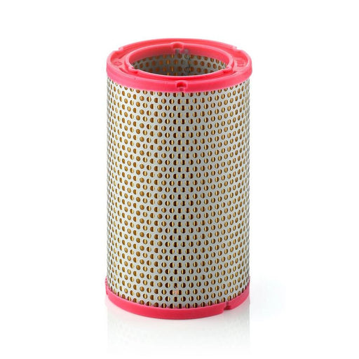 MANN-FILTER Engine Air Filter C 1134 OE 110966202 946201110 250445 3735501